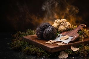 Почему трюфель такой дорогой: 5 причин высокой цены &mdash; иллюстрация к статье